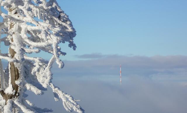 Nach Westen hin liegt Torfhaus unter einer Wolkenschicht verborgen. Nur die höheren Berge erheben sich an diesem Tag über das trostlose Grau des tieferen Landes.