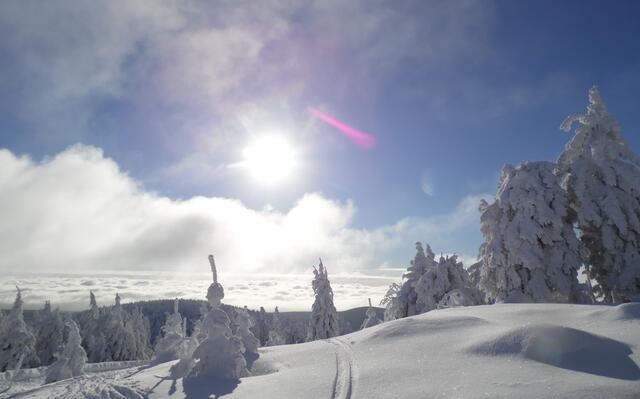 Zwei Skispuren im Schnee, und der Sonne entgegen. Ein traumhafter Tag!
