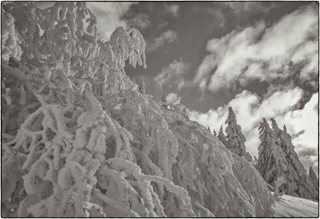 Foto: Markus Wolter