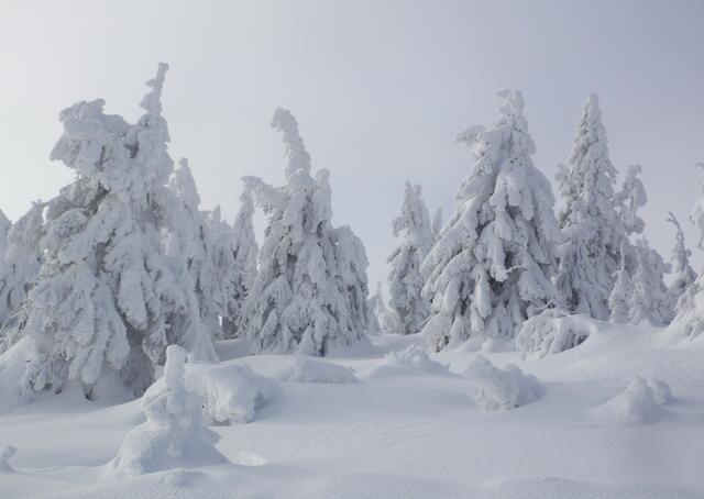 Als wir im März 2005 am Gipfel waren, betrug die Schneehöhe 2,45 Meter. Das war die höchste, die wir dort oben erlebt haben.