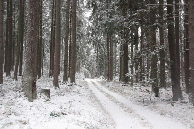 Der erste Schnee 2017