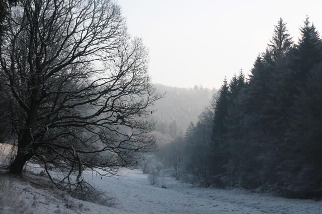 Dietzhölztal