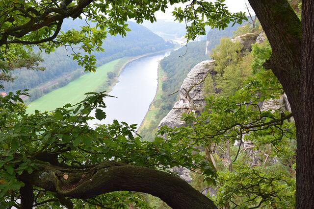 Wie ein Bilderrahemen schmiegt sich der Baum um "die Öffnung."