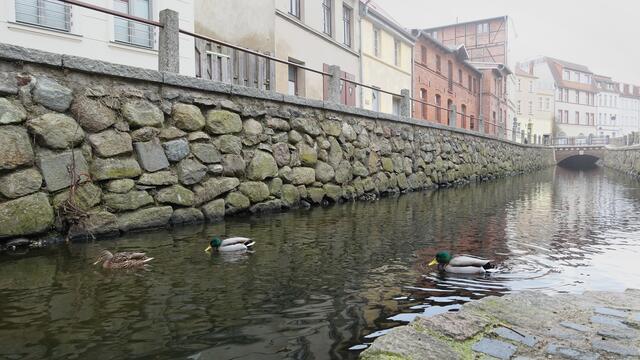 Die „Frische Grube“ aus dem 13. Jahrhundert durchzieht die Altstadt von Wismar. Foto: Helmut Kuzina