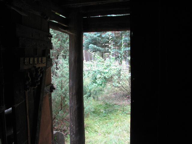 Waldblick....