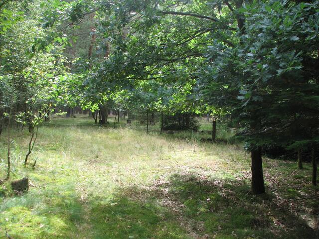 Vom Waldweg kaum zu sehen.
