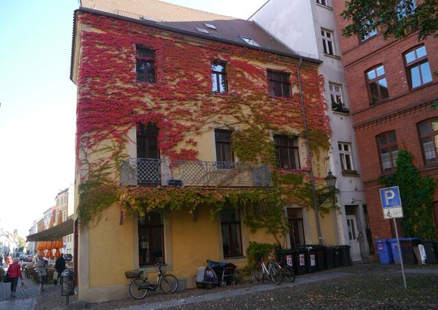 Herrliche Laubfärbung inmitten der Stadt...
