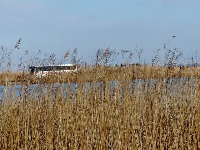 Beobachtungshügel am Lauwersmeer