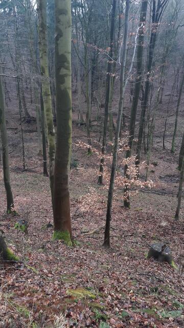 Das Schleifbachtal