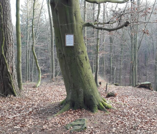 Teufelssprung am Neuen Kohlenweg