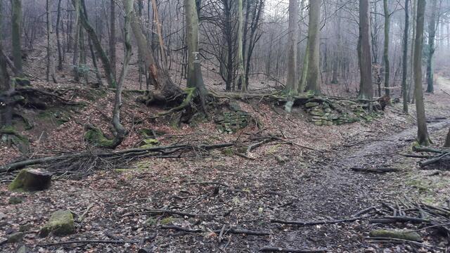 Blick ins Schleifbachtal