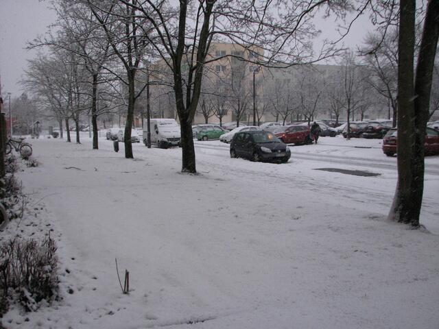 Winterdienst? 13.1.2017 9:55 Uhr