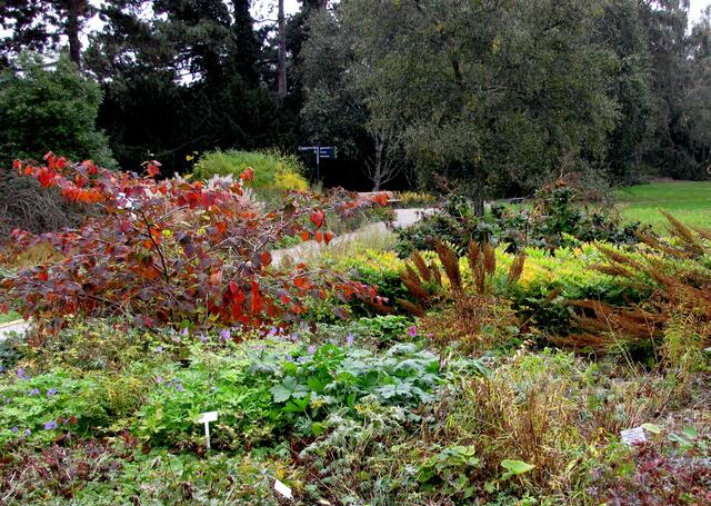 Mir persönlich gefällt das Paradies besser. Es ist, wie ich finde, der schönste Gartenbereich.