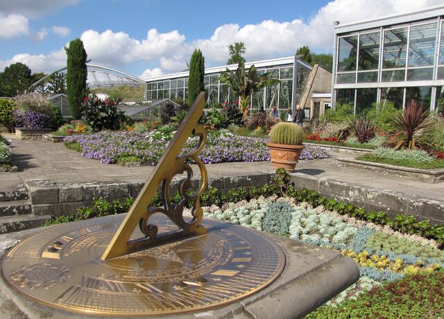 Der Berggarten hat eine fantastische Pflanzenwelt zu bieten. Ein Besuch lohnt sich zu allen Jahreszeiten und immer mal wieder.