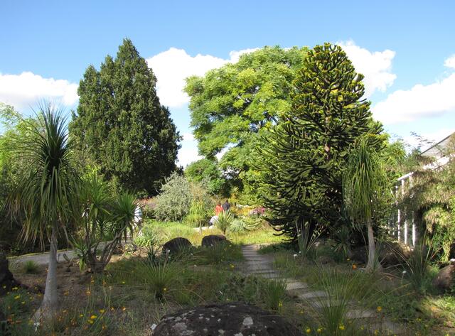 Am Kanaren-Schauhaus befindet sich der Wüstengarten.