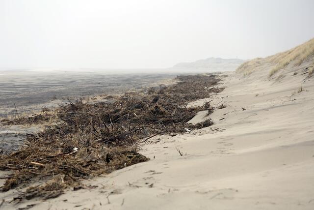 Die ehemalige Dünen-Befestigung liegt als Trümmerfeld im Sand.