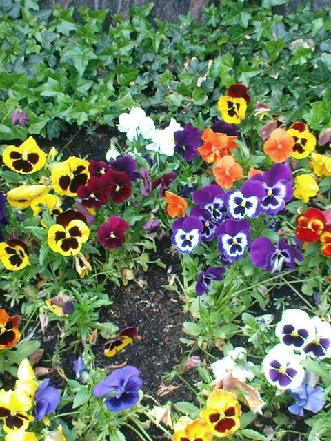 Frühling auf den Friedhof!