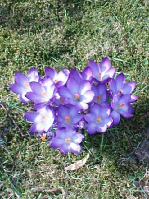 Frühling in Hamburg!