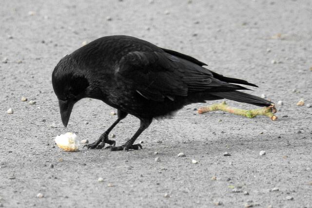 "Hm, wurde der Teig auch mit ausreichend Butter angerührt?"