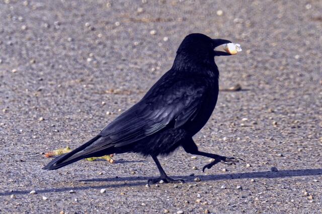 "Ok, wenn's schmeckt, komme ich wieder!" "Gerne, dann kannst du weiter modeln!