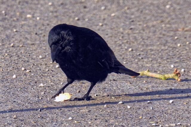 "Das ist doch hoffentlich keine billige Discounterware?"