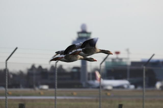 takeoff auf 09 R
