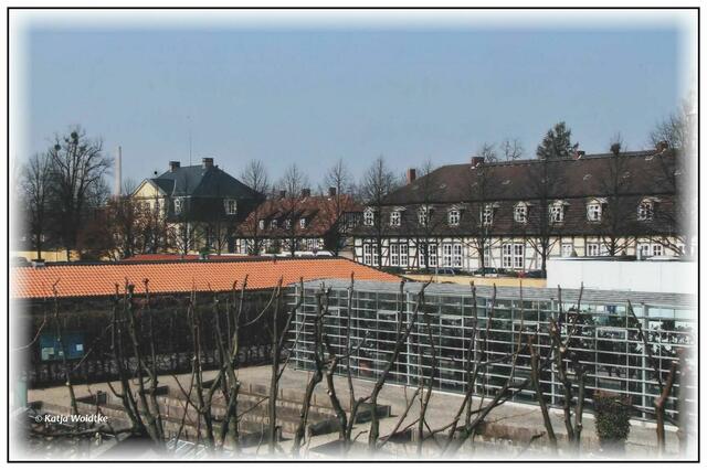 Blick vom Dach der Grotte über den Feigengarten zum Hardenbergschen Haus (links) und Pagenhaus (rechts) Mitte der 2000er Jahre (Foto: Katja Woidtke)