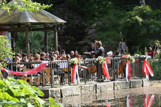Serenade am Teich in Neusäß