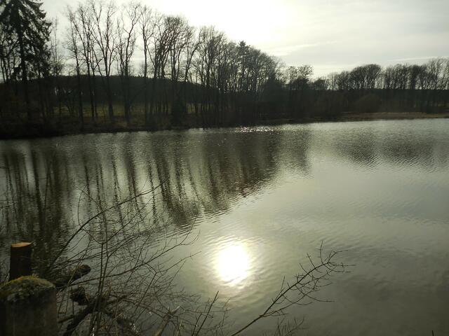 Original-Bild