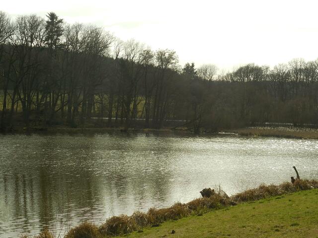 Original-Bild