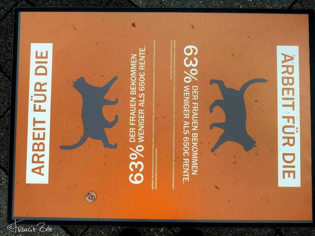 "Arbeit für die Katz?"