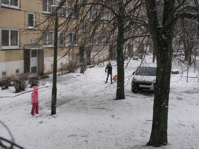 Winterdienst war oft eine Fehlanzeige.Autos stehen auf den Rasenflächen.