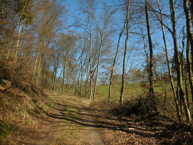 Wir sind wieder auf dem Rückweg.