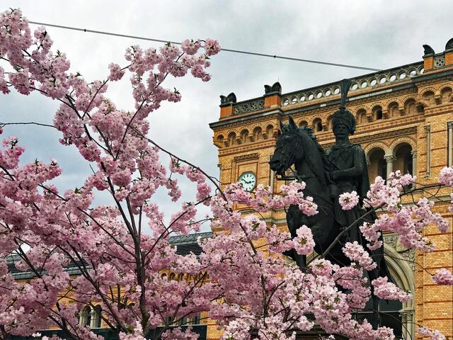 30. März 2017. Am Hauptbahnhof Hannover.