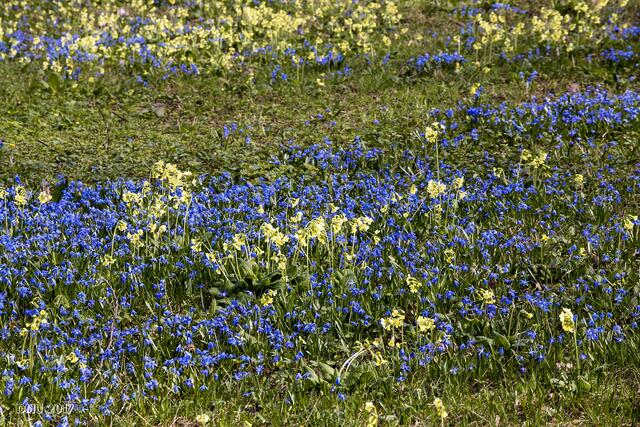 Hm, Blau-Gelb, da war doch was? [kopfkratz]