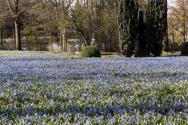 Ist ja alles so blau hier ...