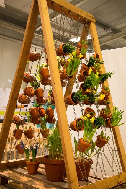 (c) FS eventfoto - afa 2017 - Bunte Garten und Blumenwelt