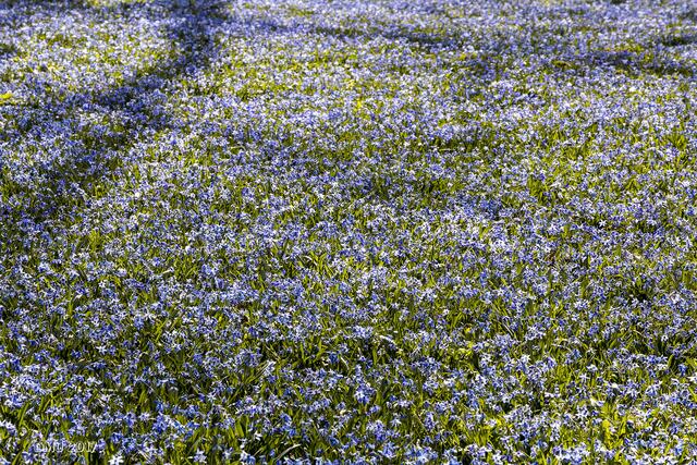 Bin ich jetzt blau, oder was?