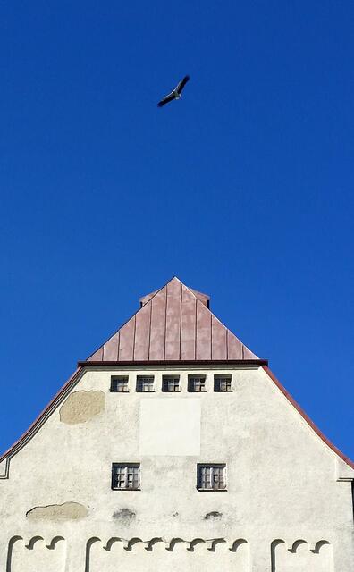 Viele viele Male