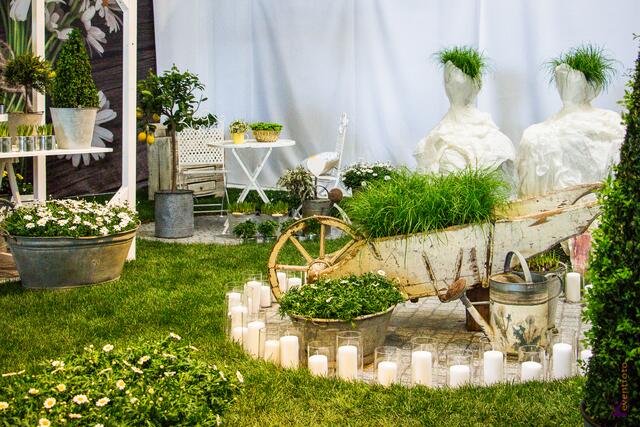 (c) FS eventfoto - afa 2017 - Bunte Garten und Blumenwelt