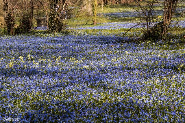 Blau bis zum Horizont