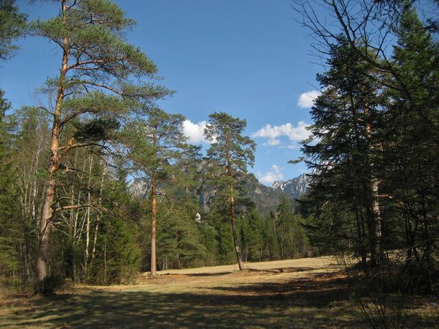 Was für ein Frühlingstag! So schön war es am letzten Tag im März, fast wie im Sommer. Kleine, weiße Wolkenschiffchen, künden aber schon einen Wetterumschwung an.