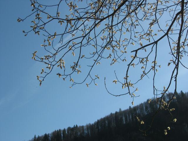 Mit Schwung ins Himmelblau.