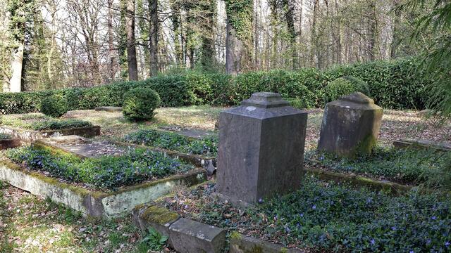 Sicht zum Weg.
