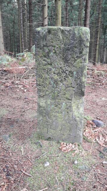 Gaußstein Deister I auf dem Kalenberg Deisterkamm  Bredenbeck