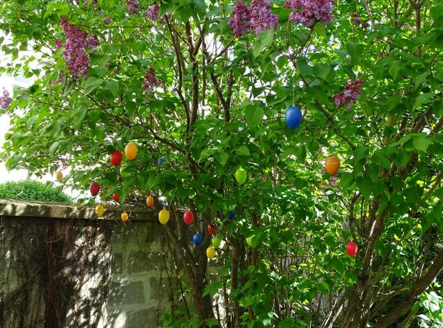 Ostern, Flieder