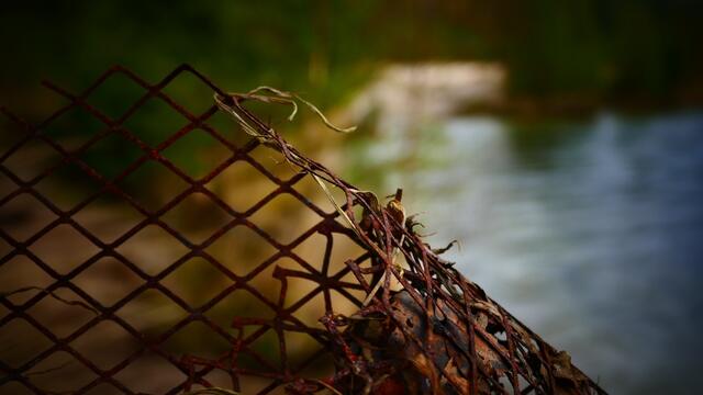Müll am See oder soll es etwa Kunst sein