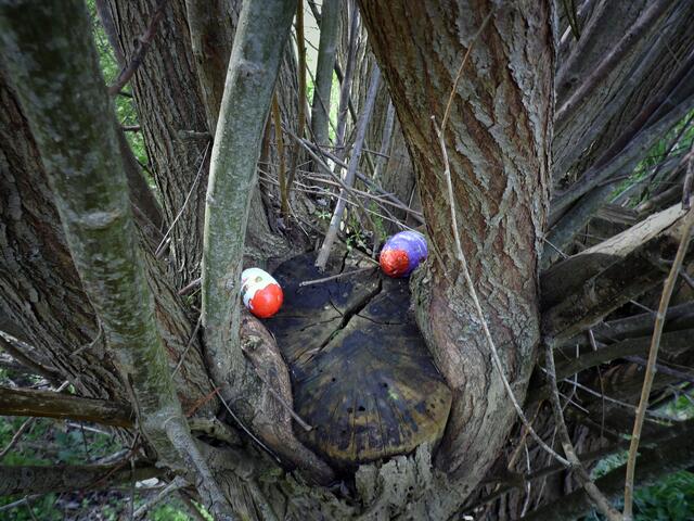 Osterhasensuche am Siedebach in Weißenschirmbach 2017 !