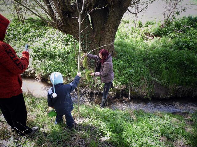 Meine Tochter "klaut" Wasserpflanzen aus dem Siedebach für ihren Teich - Osterhasensuche am Siedebach in Weißenschirmbach 2017 !