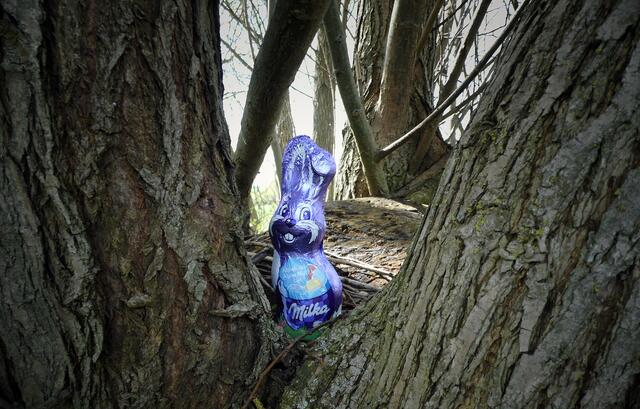 Osterhasensuche am Siedebach in Weißenschirmbach 2017 !
